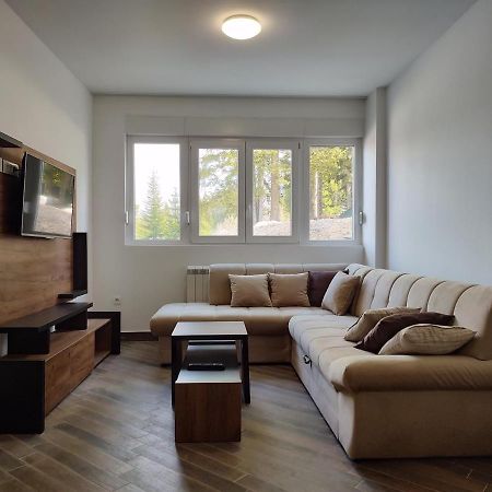 Apartments & Restaurant PirlitorŽabljak エクステリア 写真
